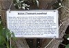 Information Boards