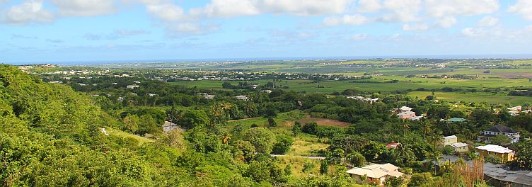 Panoramic View