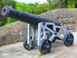 Cannon Cannon