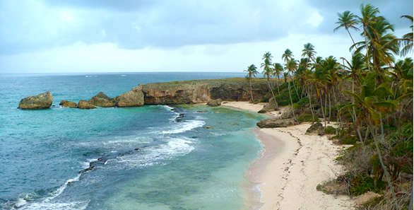 Harrismith Beach, Barbados Harrismith Beach, Barbados