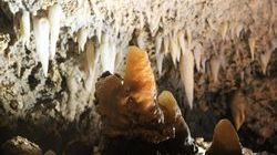 Close up of stalagmite with stalactites in background Close up of stalagmite with stalactites in background