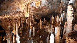 Large collection of stalagmites Large collection of stalagmites