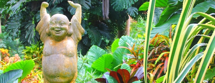 Huntes Gardens Barbados Huntes Gardens Barbados