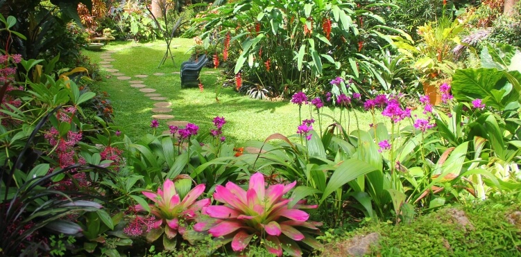 The majestic Hunte's Gardens