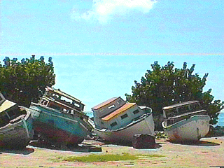 Fishing boats at Oistins, Barbados