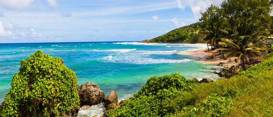 Looking south at Martin's Bay