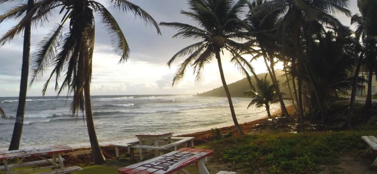 Sunrise at Martins Bay