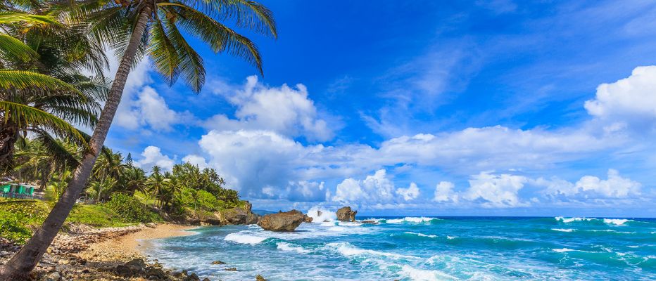 Panoramic view of the bay and palm-lined shore