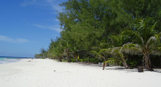 Maxwell Beach, Barbados