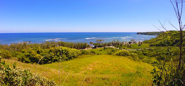 Overlooking Bath Beach Overlooking Bath Beach