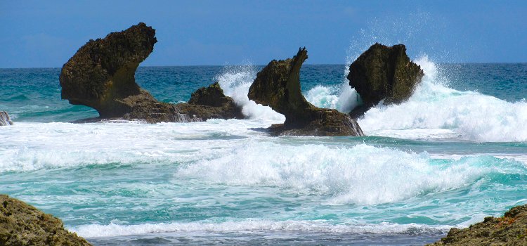 Enjoy dramatic seascapes Dramatic seascapes