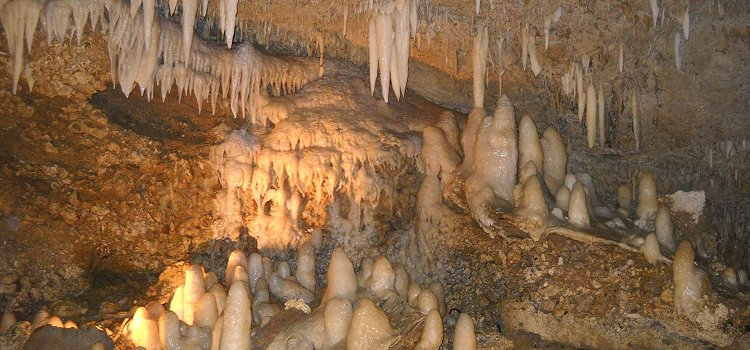 Explore Harrison's Cave Harrison's Cave