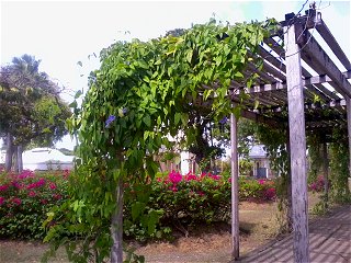 Queens Park, Barbados