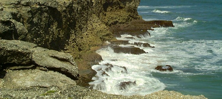 Cliffs at River Bay, Barbados Cliffs at River Bay, Barbados