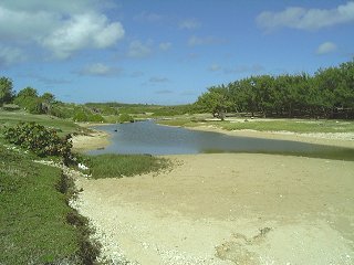 The river at River Bay