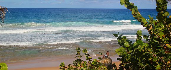 Rough waves at a Barbados beach Rough waves at a Barbados beach
