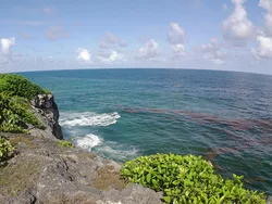 Ocean Expanse Ocean Expanse