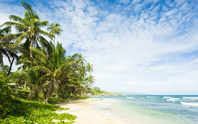 Martins Bay, St.John, Barbados