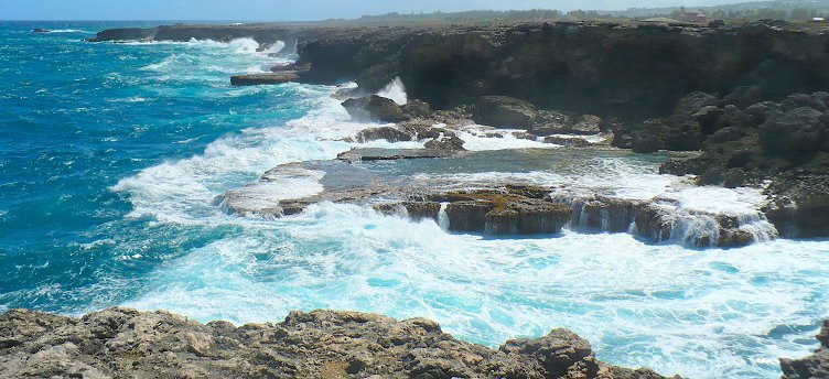 Cliffs at Animal Flower Cave, St.Lucy, Barbados Cliffs at Animal Flower Cave, St.Lucy, Barbados