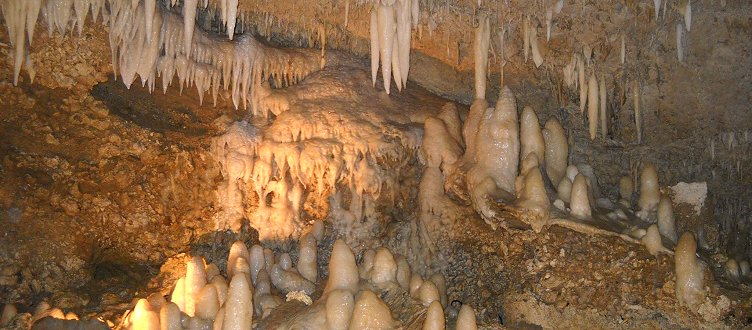 import car from usa to uk