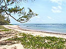 Bath Beach