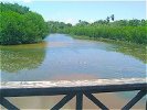 Graeme Hall Swamp