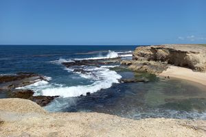 Little Bay