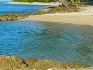 Tidepools