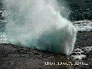 Water Spouts!