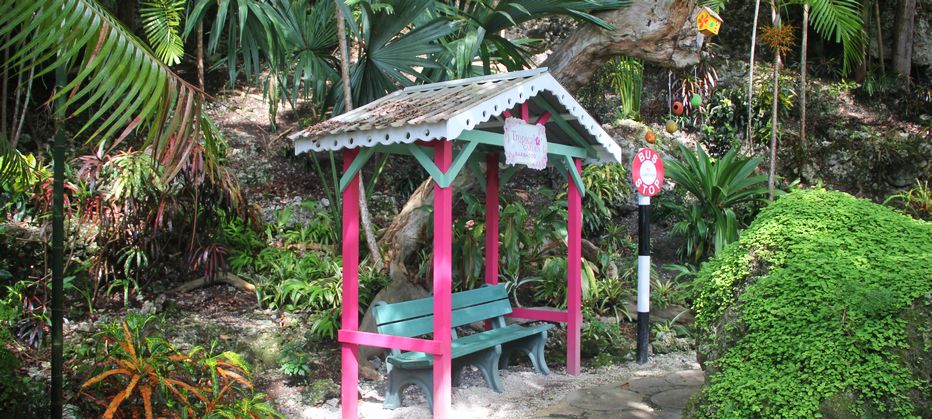 Colorful Bus Stop In the Garden