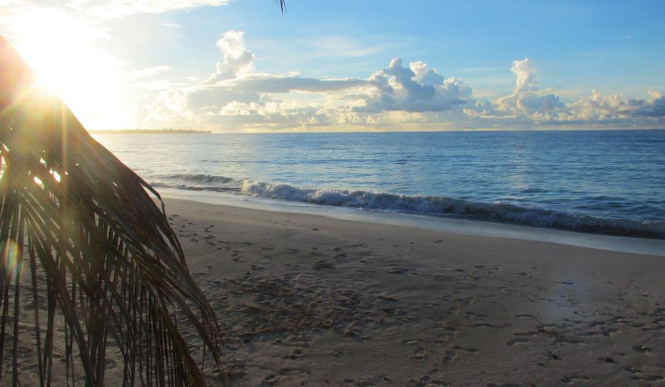 A serene morning at Turtle Beach A serene morning at Turtle Beach