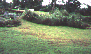 Lazaretto Gardens, Barbados Lazaretto Gardens, Barbados