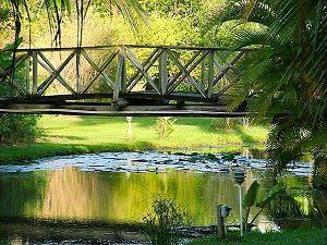 Petrea Gardens, Barbados