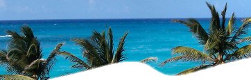 Barbados Air and Interisland Caribbean Tours