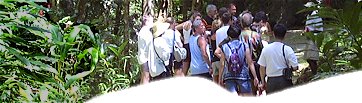 Barbados Eco Tours