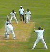 Barbados Sports & Health