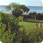 Barbados eco vacations Barbados eco vacations