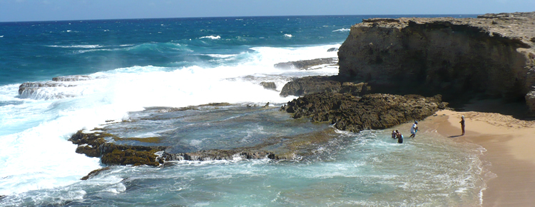 Barbados North Coast Beach - Little Bay