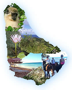 Barbados Sightseeing and Atractions Barbados Attractions