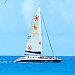 Catamaran Cruise