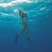 Freediving