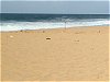 A lovely long - but isolated - stretch of beach on Barbados' north east coast.