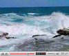 view Waves and water spouts at Little Bay