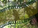 Barbados video