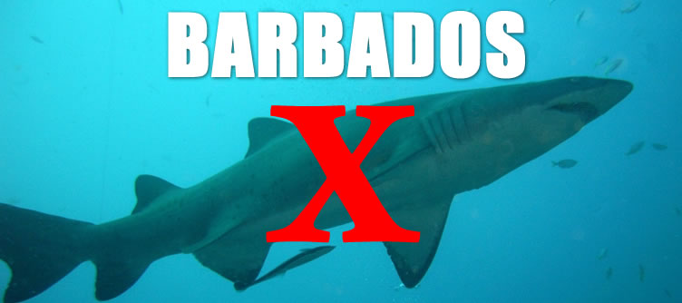 No sharks in Barbados
