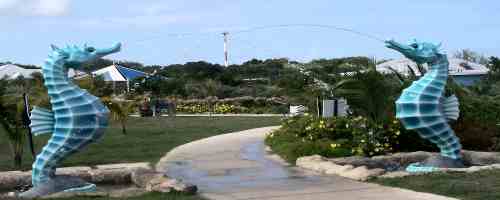 !!!Visit Ocean Park!!!