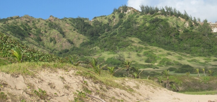 Head off-road Head off-road