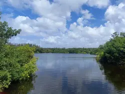 Lake Tarpon Lake Tarpon