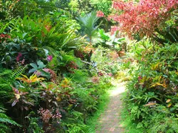 Huntes Gardens Huntes Gardens