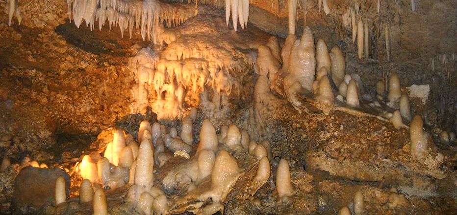 Explore underground wonders! Explore underground wonders!